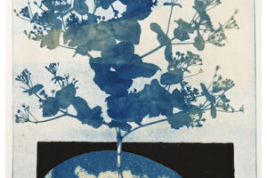 Shada Safadi, Mountain Flower 2 (2022), cyanotype & collage on paper, 39 x 28 cm