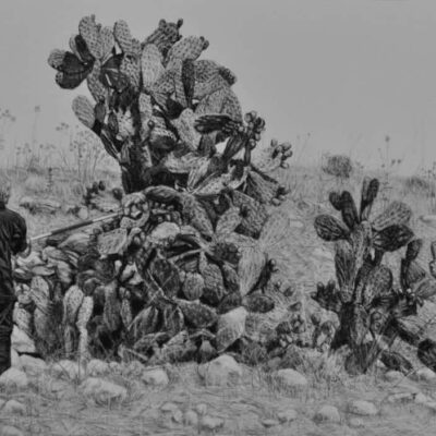 Samah Shihadi, Cactus Harvest #2, 2017, charcoal on paper, 33 x 48 cm