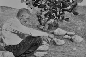 Samah Shihadi, Harvest Break #2, 2017, charcoal and pencil on paper, 56 x 76 cm